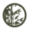 Section Title Image